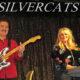 Silvercats